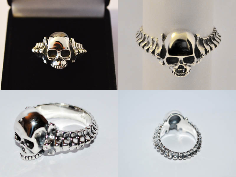 skull[19661]